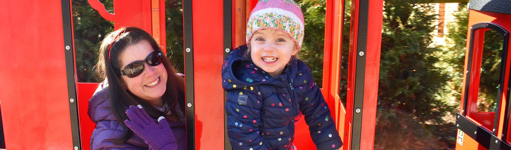 Rides & Play Akron Zoo